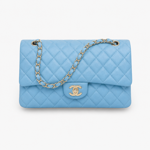 Chanel Medium Classic Double Flap Bag