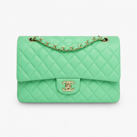 Chanel Medium Classic Double Flap Bag